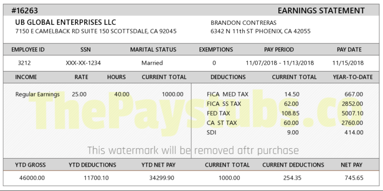 advanced-pay-stub-template-sample-thepaystubs