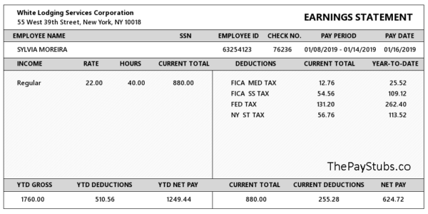 New York Sample PayStub - ThePayStubs