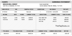 Texas Sample PayStub - ThePayStubs